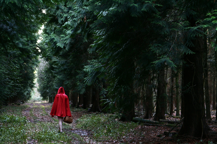 The tale of Red Riding Hood