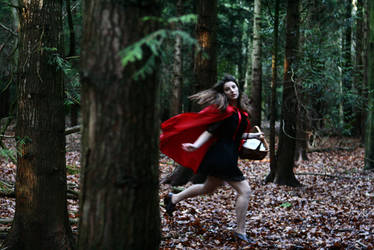 Tale of Red Riding Hood III