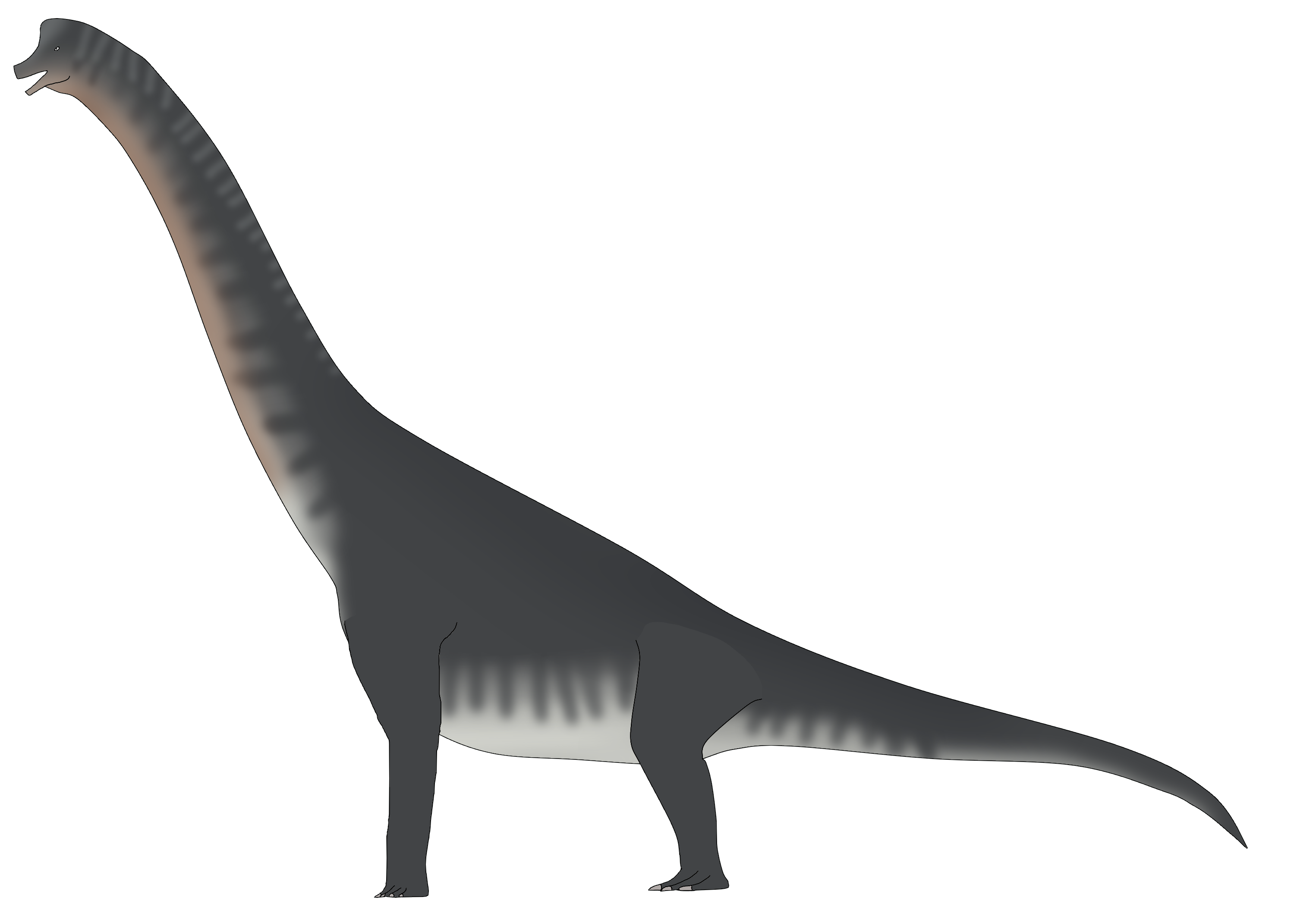 Henry Henderson the Giraffetitan