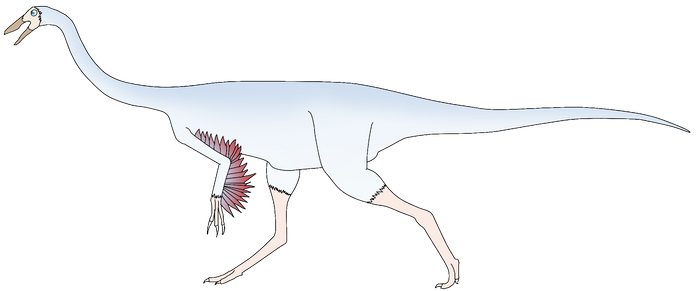 Weiss Ornithomimus