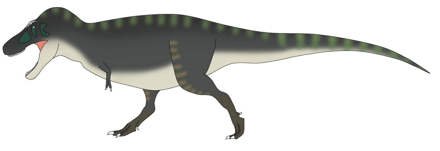 Naofumi Iwatani the Tyrannosaurus Rex