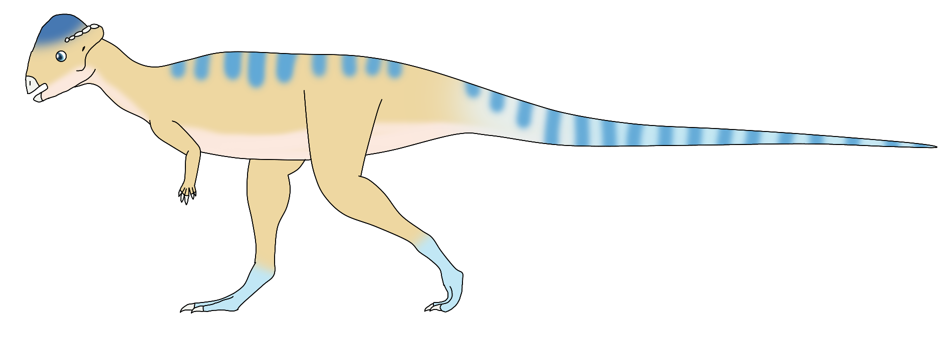 Filo the Stegoceras