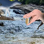Anya Forger the Baby T-Rex Eat Peanut Prehistoric