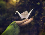 Dreams made of paper by Cochalita