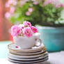 A flowering cup