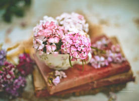 Blooming time