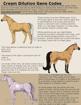 Horse Color: Cream