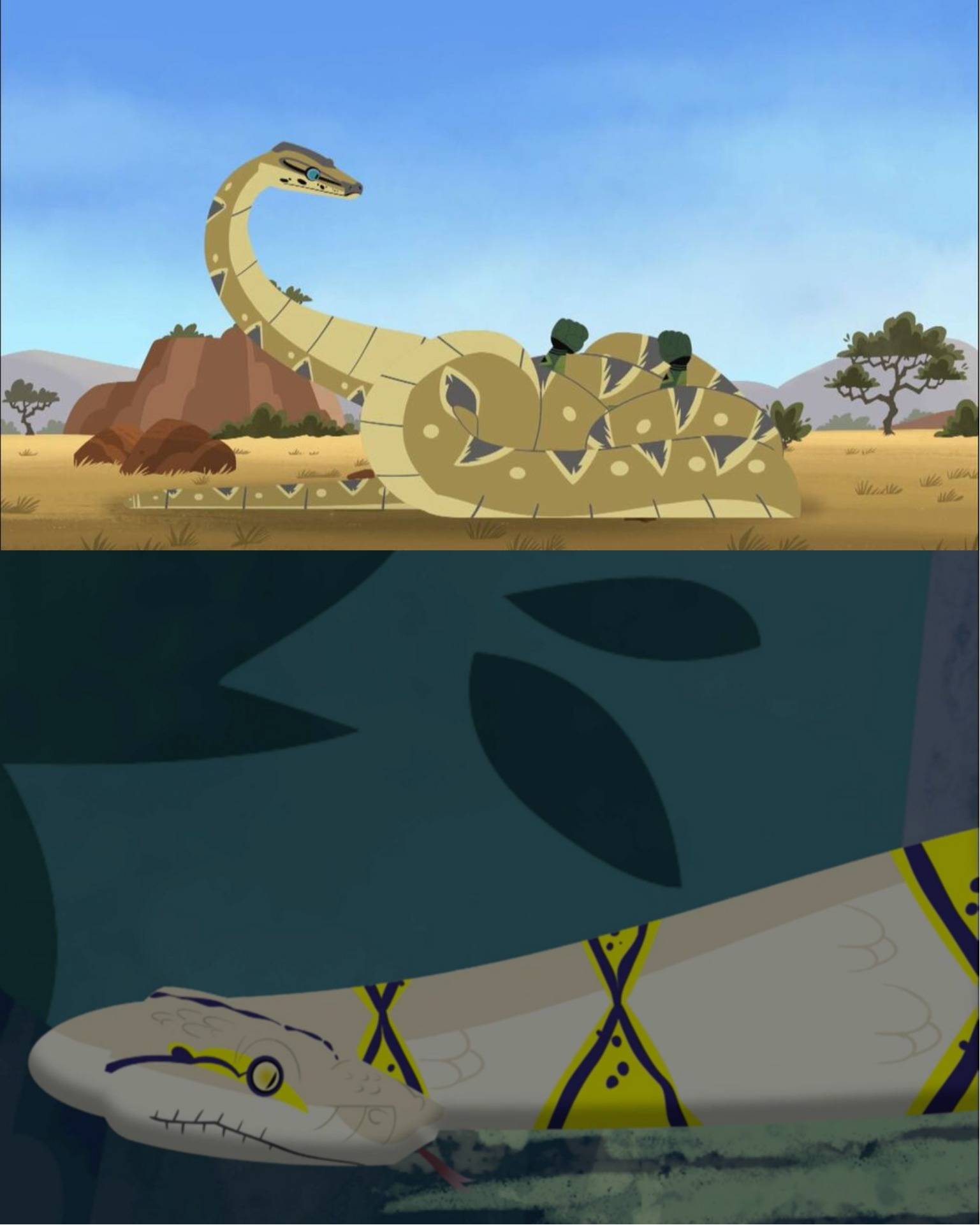 Wildcat Python Different pythons from Wild Kratts by Mal1263 on DeviantArt