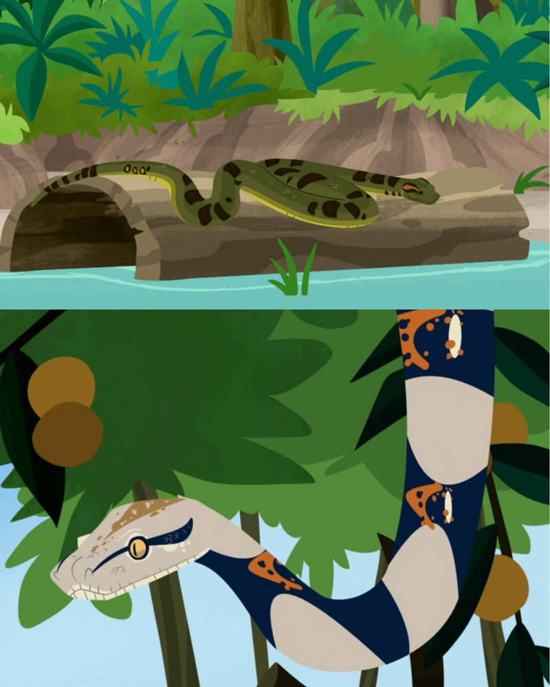 Deviantart Boa Vs Python Different boas from Wild Kratts by Mal1263 on DeviantArt