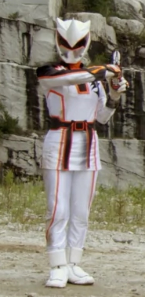 Power Rangers Jungle Fury Rhino Ranger Costume