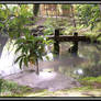 Japanese Garden at Nara