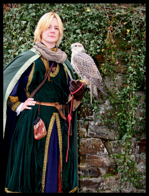 Medieval lord with falcon