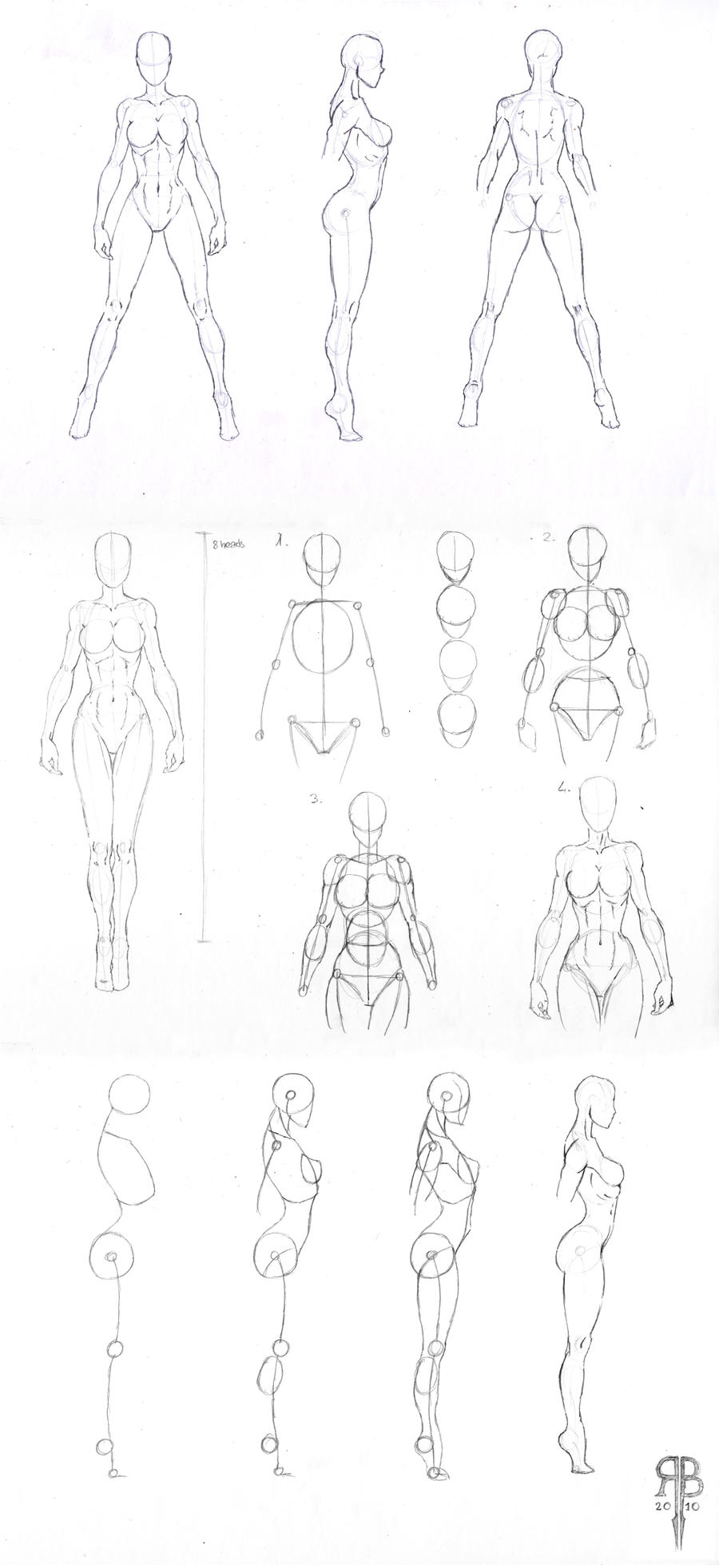 female body shapes by Rofelrolf on DeviantArt