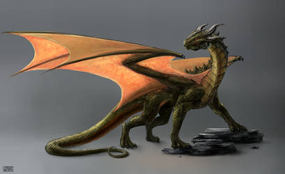 Dragon Concept Art