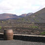 'Volcanic Vineyard' Lanzarote (Photography)