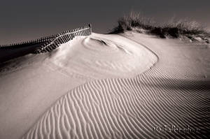 Dune