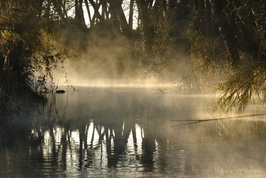 Morning Mist