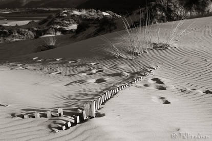 Across The Dunes