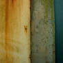 Abstract_005