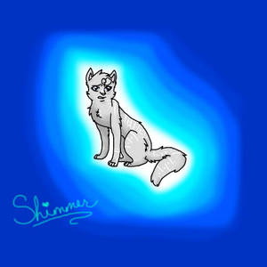 Shimmer the cat