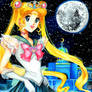 Princess Sailor Moon