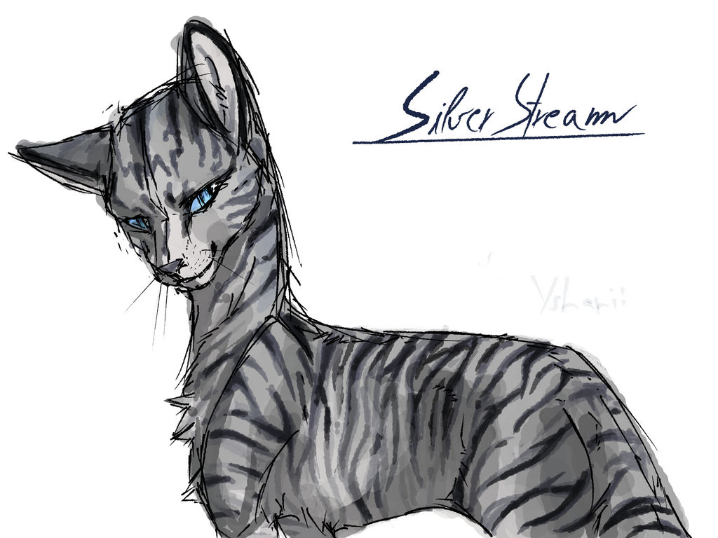 Silverstream Warrior Cats by Yshanii on DeviantArt