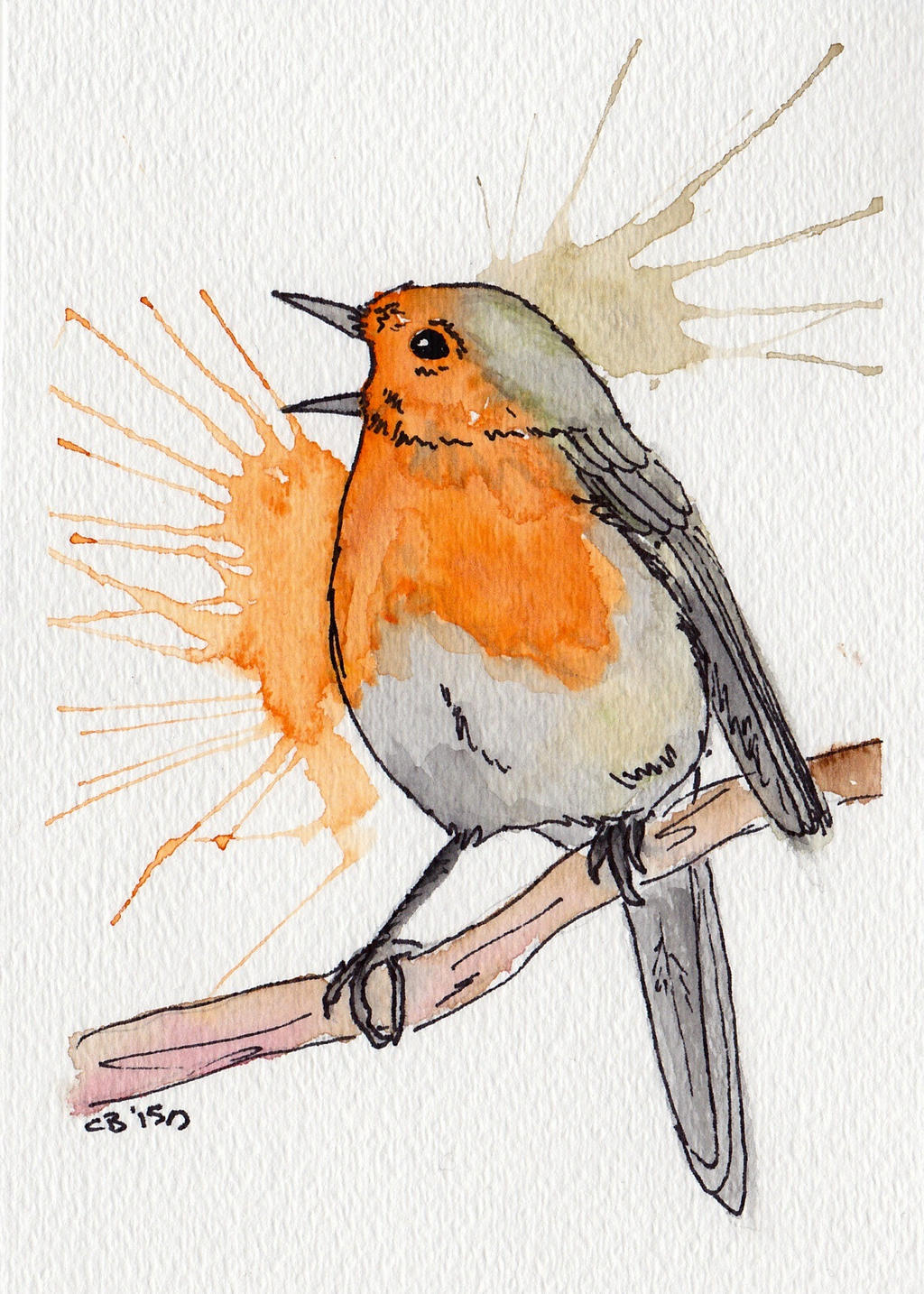 European Robin