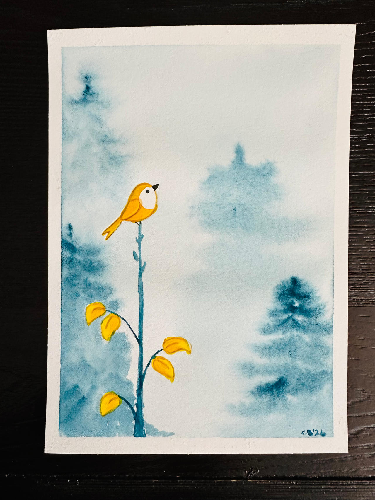 Misty Meadows