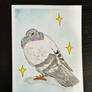 Pigeon Pimp