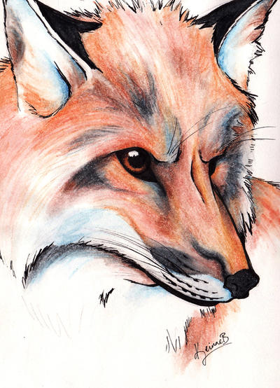 Fox