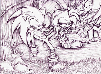 Times 'a' Wastin ! - Sonic Boom pen