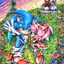 Sonic and Amy 'Midnight' on Starfall Island 