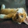 Upside down