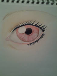 Eye