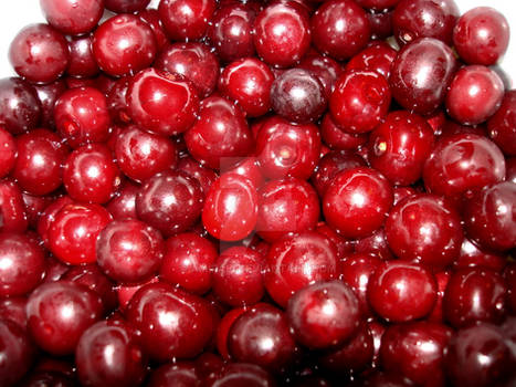 sour cherries