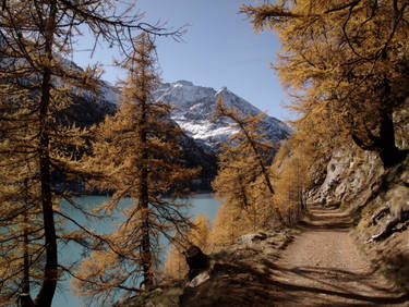 Enchanted footpath