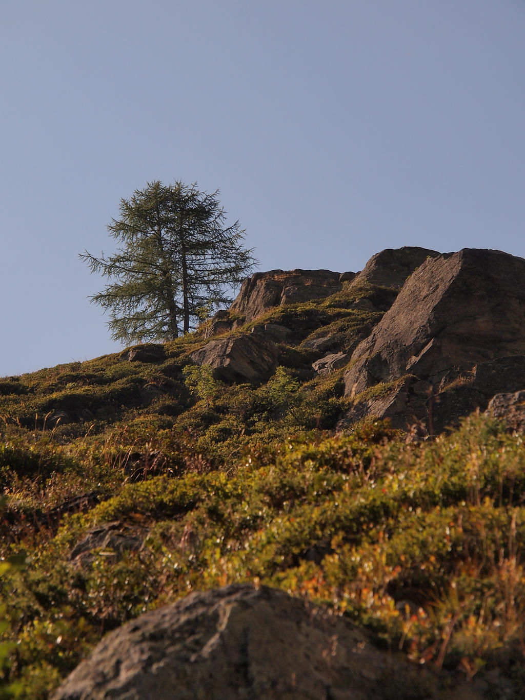 Twins over the hill