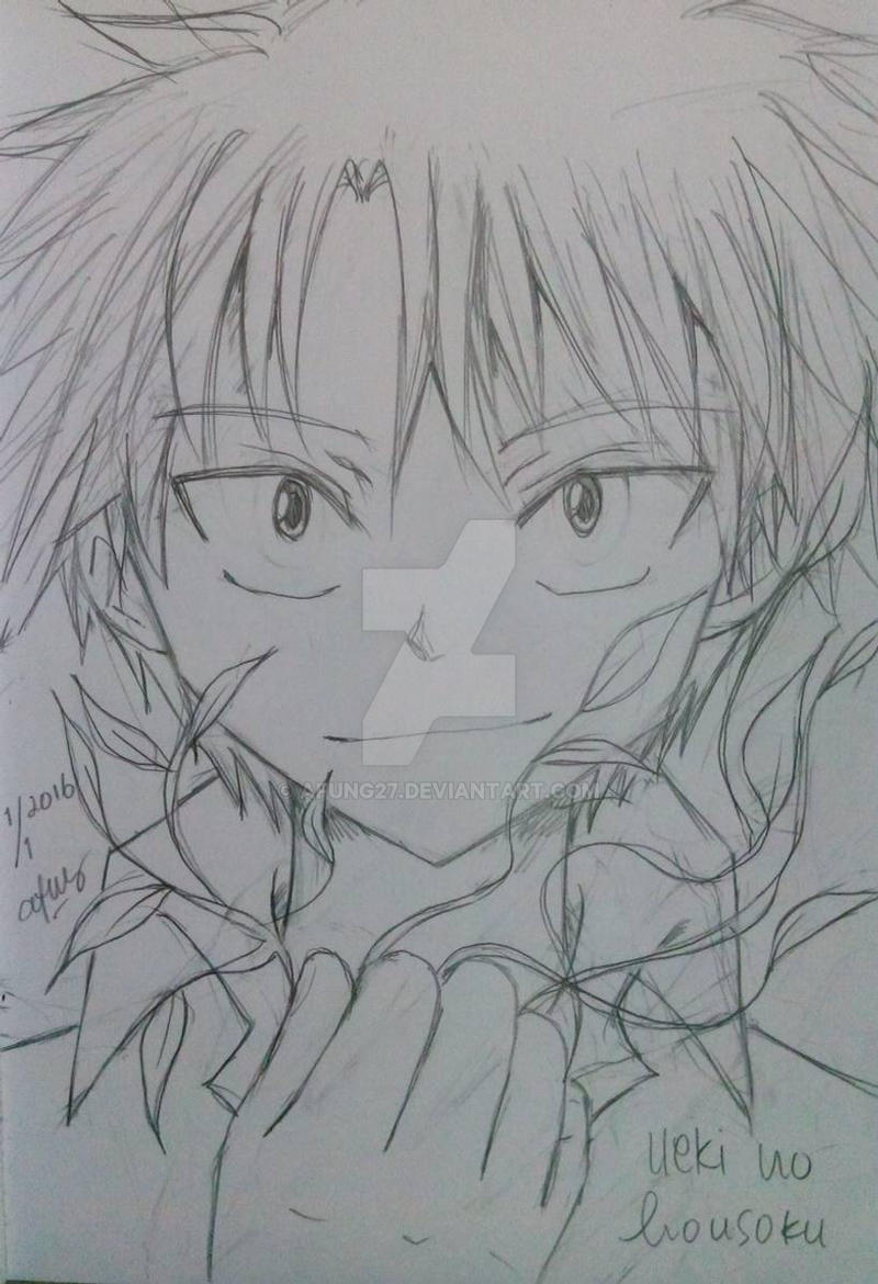 Kosuke Ueki - The Law Of Ueki By Afung27 On Deviantart