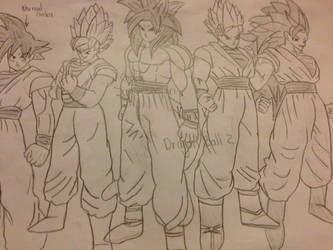 Dragon Ball Z ~Goku