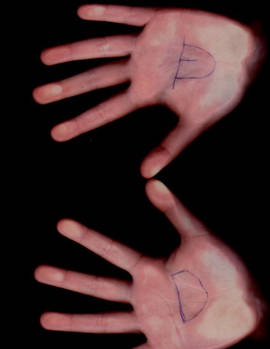 Dedara's hands