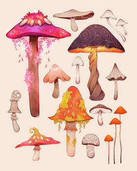 Mushrooms concepts