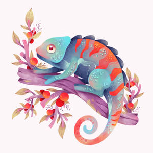 Chameleon