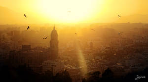 sobrevolando la Catedral al atardecer