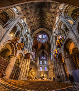 Ely Cathedral VI