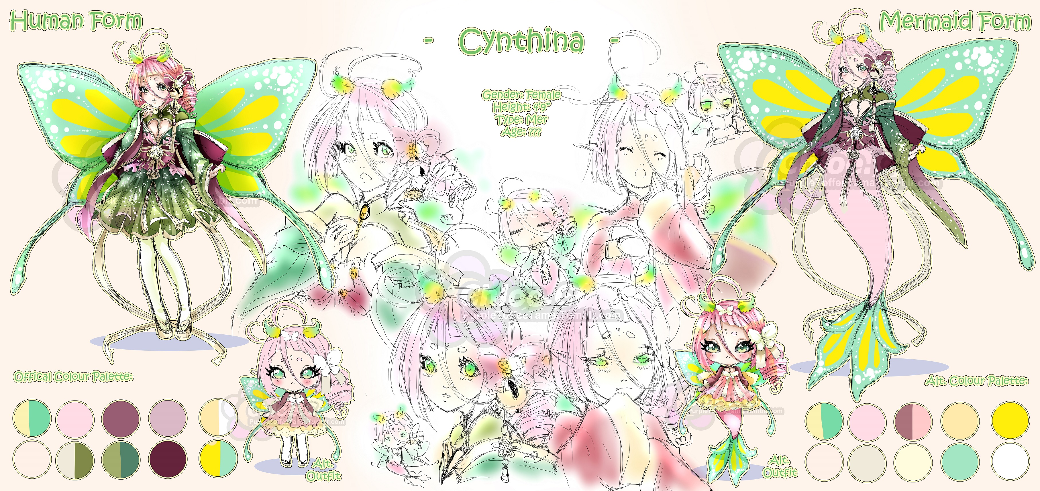 Merinori: Cynthina