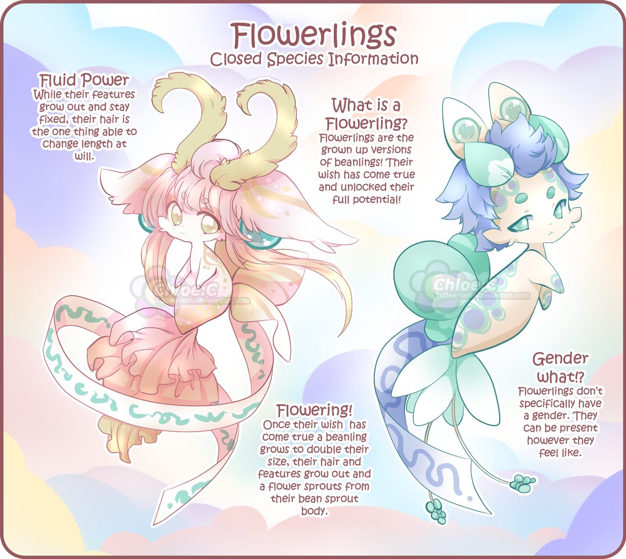 flowerlings_info_by_toffee_tama_ddffb6r-