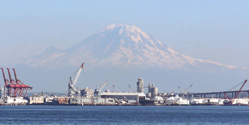 Mt. Rainier