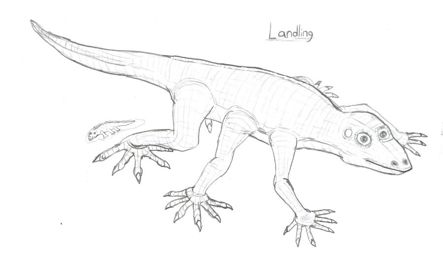 Landling by Imperator-Zor