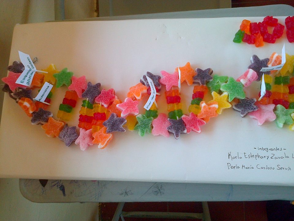 ADN de gomitas XD