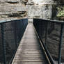 Chasm Bridge